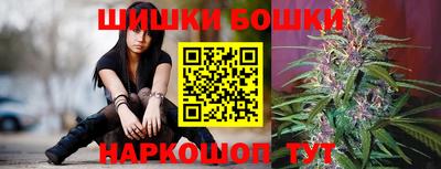 прущие грибы Можга