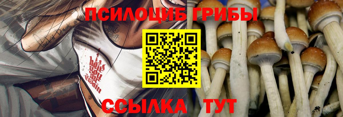 Трёхгорный  Галлюциногенные грибы Psilocybe  Вход с VPN 