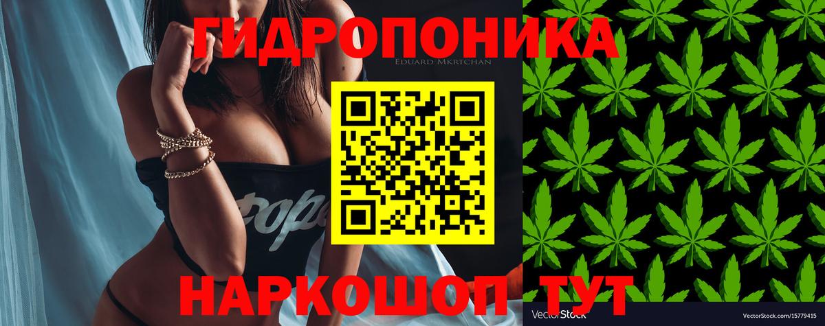 Шишки марихуана сатива  Вход с VPN  Канабис Amnesia  Трёхгорный 